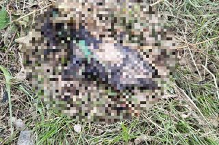 Ślady zbrodni na drodze, spalone ubrania ofiary spod Grójca. Sąsiedzi: Myśleliśmy, że to mafijne porachunki