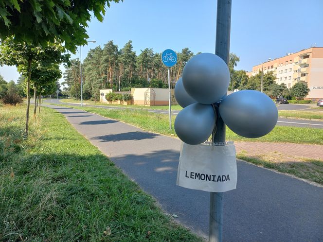 Komu lemoniadę na ochłodę? Sympatyczna akcja dzieci w Lesznie