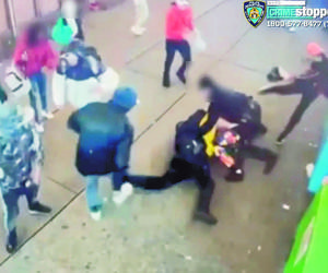 Chaos i krew pod schroniskiem