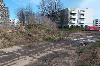 Miasto chwali się Parkiem Krzyckim. Na hucznym otwarciu mieszkańcy zastali plac budowy 
