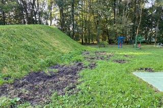 Odłownia park Maćka i Doroty