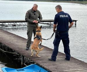 Tutaj naprawdę sporo się dzieje. Prezes PZIiPPS - Mariusz Lis - podsumowuje pierwsze lata kadencji 