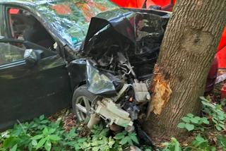 Afrykańskie upały zabiły Zenona?