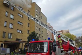 Bohaterska postawa strażaków z Krakowa. Uratowali zwierzęta z płonącego mieszkania