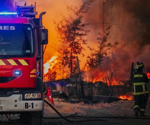 Fala upałów nadciąga nad Polskę. Śledź zagrożenie pożarowe w lasach