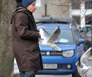 Anna Chodakowska. Gwiazda Labiryntu wśród ptaków