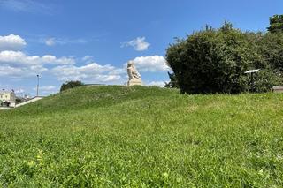 Lubelski lew już nie straszy. Skończyły się prace konserwatorskie 