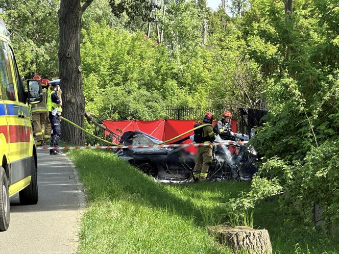 Auto uderzyło w drzewo i stanęło w płomieniach. Spłonęły trzy osoby!