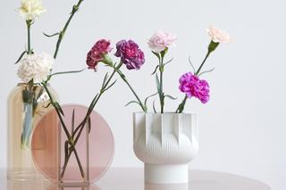 Zimowy bukiet do wazonu