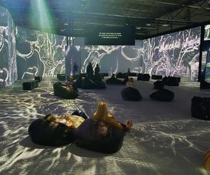 Wystawa VAN GOGH – The Immersive Exhibition w Szczecinie