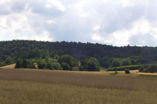 To najwyższy naturalny szczyt województwa łódzkiego. Mało kto o nim słyszał