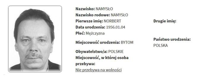 Rejestr Przestępców Seksualnych z województwa śląskiego [ZDJĘCIA]