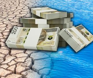 Zmiany klimatyczne kosztują miliardy