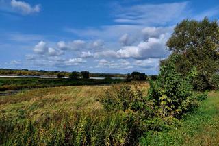 Stąd Hitler patrzył na przeprawę wojsk przez Wisłe. To pół godziny drogi z Bydgoszczy [ZDJĘCIA]