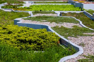 Ogród na dachu Centrum Nauki Kopernik