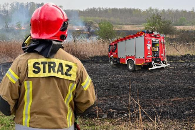 Pożar traw w krakowskiej dzielnicy Dębniki
