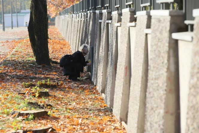 Wszystkich Świętych 2020. Przerażający widok z cmentarzy w Warszawie