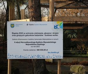 W chorzowskim ZOO zamieszkały ptaki, które są zagrożone wyginięciem