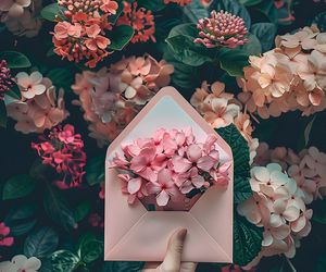 Dzień Teściowej 2025. Wyjątkowe życzenia i śmieszne wierszyki dla teściowej [5.03.2025]