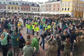 I love green na zamojskim Rynku Wielkim