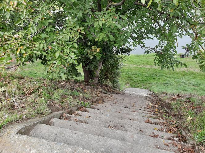Więźniowie pomagali sprzątać Przemyśl. Zebrano 5 ton śmieci! [ZDJĘCIA]