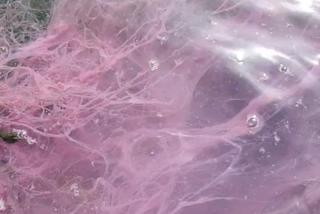 Zanieczyszczenie Raby