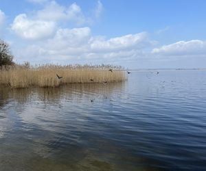 Kąpielisko i Jezioro Dąbie