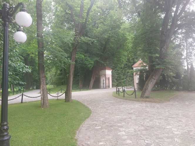 Zamek Dubiecko