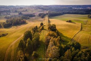 Szalone Walizki: Mazury Garbate