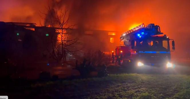 Ogromny pożar w Kaninie. Płonie zakład meblarski, na miejscu pracuje 100 strażaków