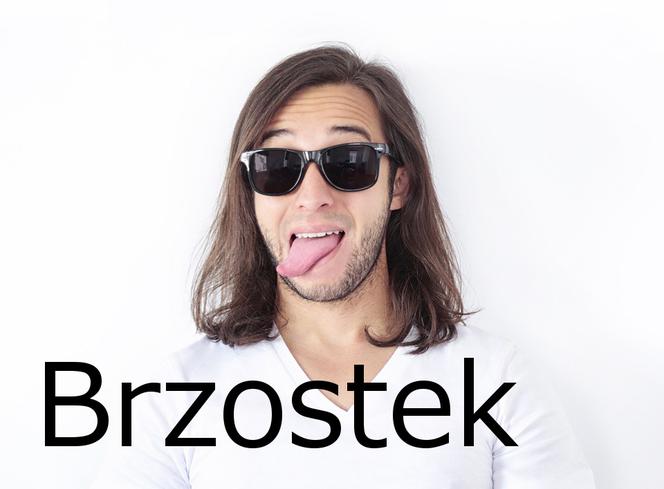 Brzostek