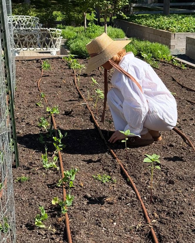 Pamela Anderson handluje ogórkami! Wielki sukces gwiazdy