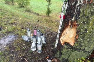 Osierociła 3-letniego synka. Zginęła, jadąc do pracy