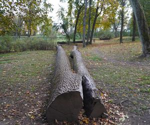 Park Lubomirskich w Białymstoku jesienią 