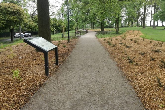 Park Glazja
