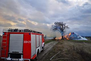 Dym widoczny był z DK 10. Strażacy walczyli z ogniem dwanaście godzin!