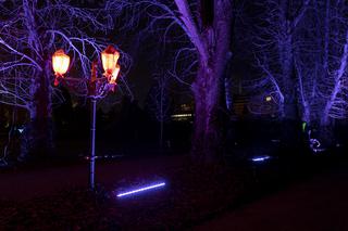 Bajkowe iluminacje w Ogrodzie Botanicznym we Wrocławiu