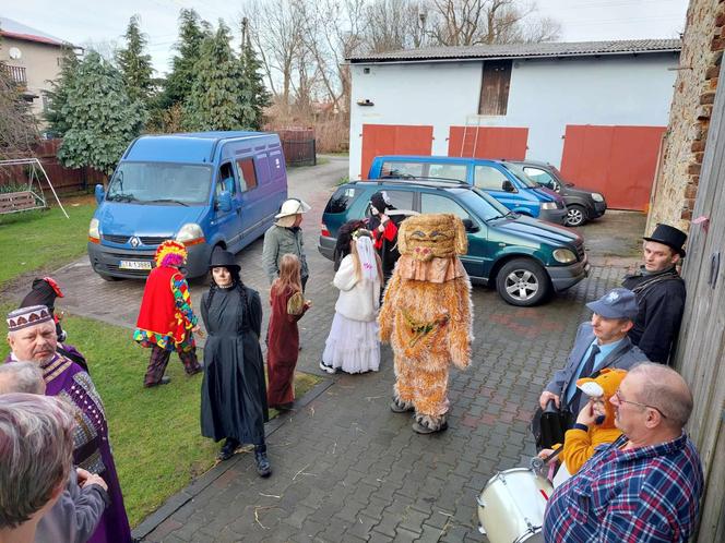 Wodzenie "niedźwiedzia" w Śląskiem. Korowód w Sierotach