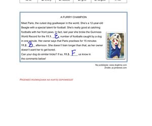 Egzamin ósmoklasisty język angielski 2025: ODPOWIEDZI i ARKUSZE CKE [15.05.2025]