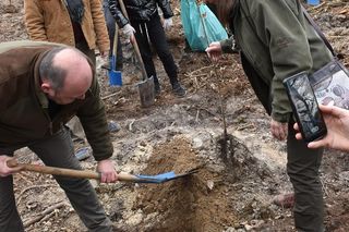 Las Pamięci w Marchwaczu