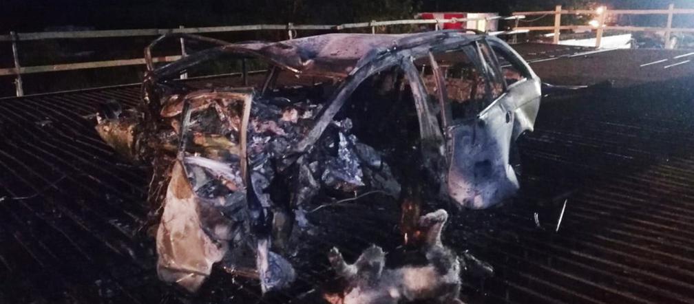 Spłonął w aucie z psem