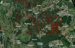 Wycinka lasów w Szczecinie i regionie 