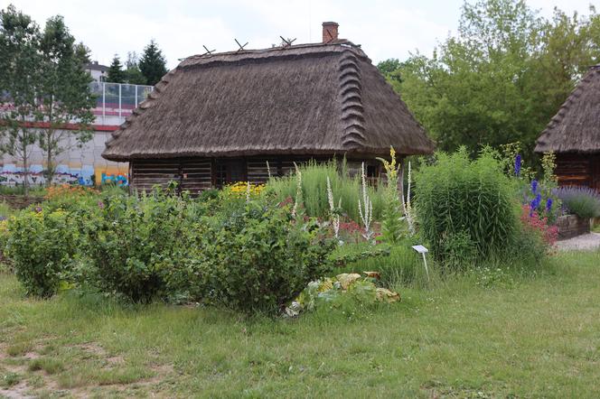 Skansen w Lublinie zachwyca w słoneczny letni dzień!