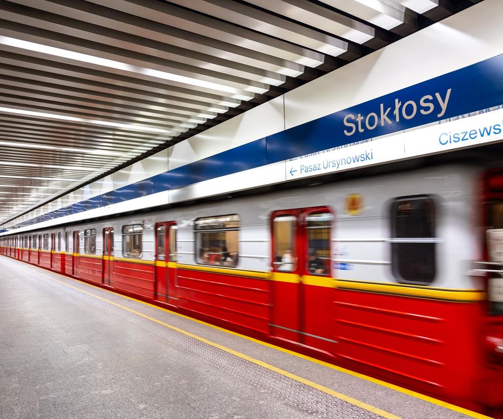 Stokłosy