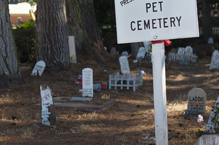 Koniec z POCHÓWKIEM w innych województwach! Na Opolszczyźnie powstają cmentarze dla zwierząt!
