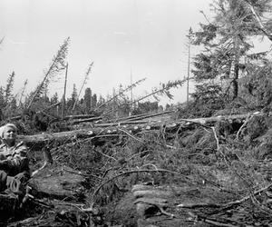 Potężny huragan w 1966 roku