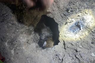  Mały kotek utknął w odpływie na deszczówkę. Z pomocą przyszli strażacy