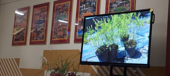Ogród sensoryczno- naukowy przy SP nr 10 w Zamościu