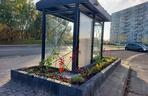 Zielone przystanki w Katowicach: droższe są tylko ławeczki patriotyczne 