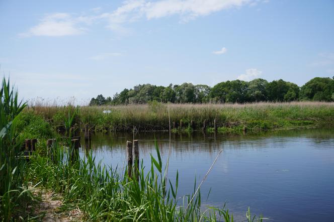 Narwiański Park Narodowy